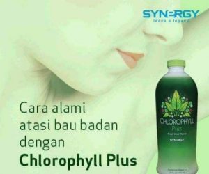 Jual Smartdetox untuk Membentuk Tubuh Menjadi Sehat Ideal di Sukabumi