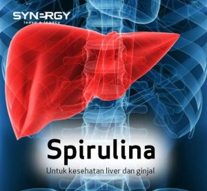  Jual Smartdetox untuk Membentuk Tubuh Menjadi Sehat Ideal di Baruga Kendari Sulawesi Tenggara,hubungi wa 08128082592