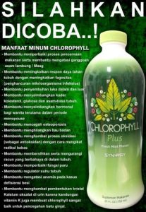 Jual Smartdetox untuk Membentuk Tubuh Menjadi Sehat Ideal di Batudaa Gorontalo Sulawesi ,hubungi wa 08128082592A