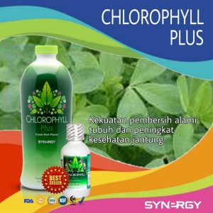 Jual Smartdetox untuk Membentuk Tubuh Menjadi Sehat Ideal di Batang Anai Padang Pariaman Sumatera Barat,hubungi wa 08128082592